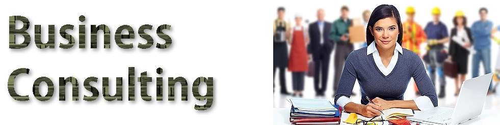Business Consulting